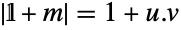 TemplateBox[{{𝟙, +, m}}, Det]=1+u.v